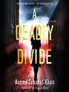Cover image for A Deadly Divide